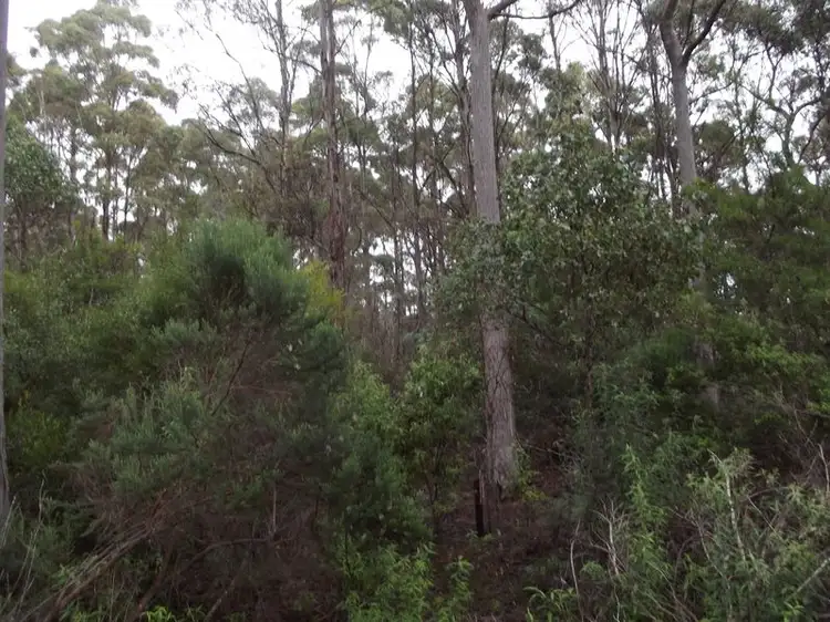Main view of Homely land listing, PID 741298 Irishtown Road, St Marys TAS 7215