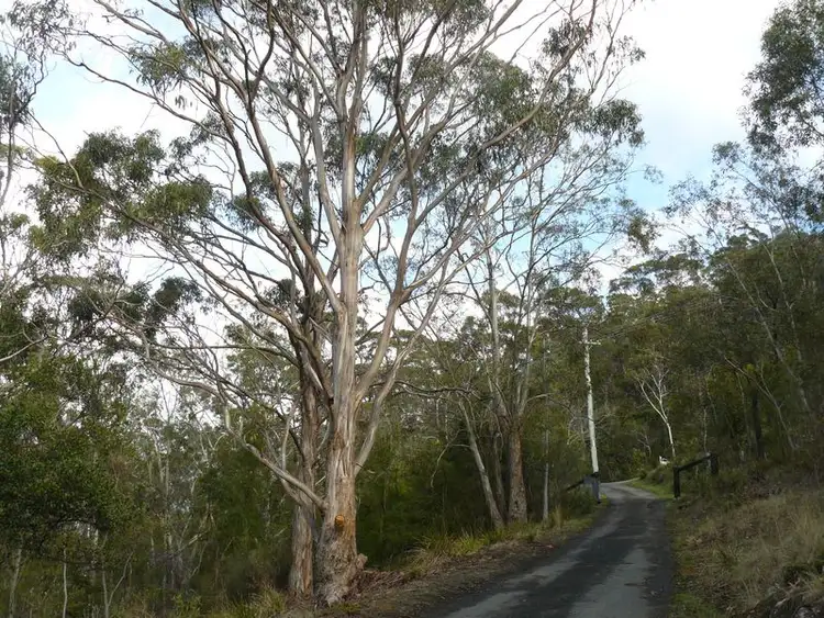 Sixth view of Homely land listing, 320 Tinderbox Road, Tinderbox TAS 7054