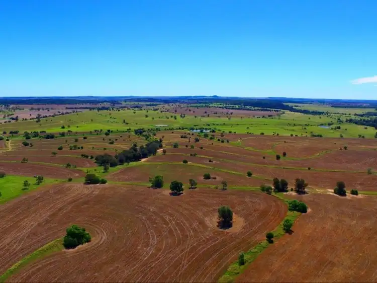 Fifth view of Homely rural property listing, 6805 Warialda Road, Yetman NSW 2410