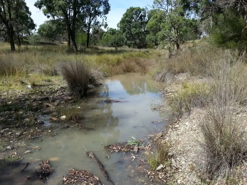 Main view of Homely rural property listing, Lot 11 Springdale Road, Stanthorpe QLD 4380