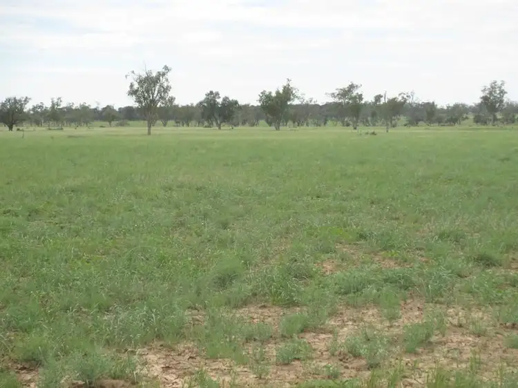 Fifth view of Homely rural property listing, Mt Abundance Road, Roma QLD 4455