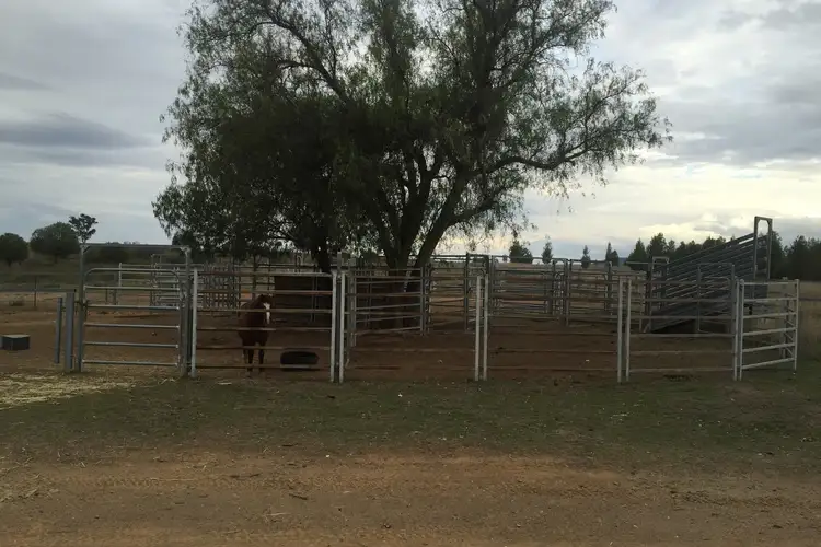 Main view of Homely rural property listing, Yagobie Cottage Gwydir Highway, Gravesend NSW 2401