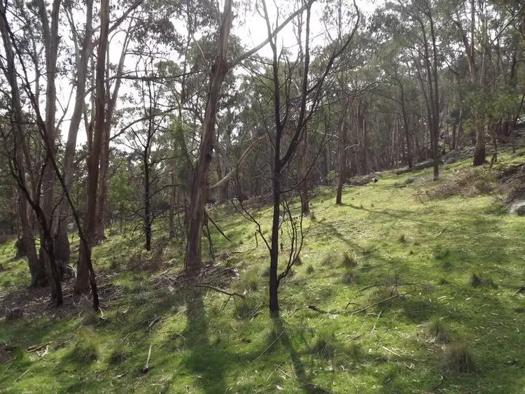 Seventh view of Homely land listing, 385 Ennis Road, Tallarook VIC 3659