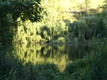 Fourth view of Homely rural property listing, Address available on request