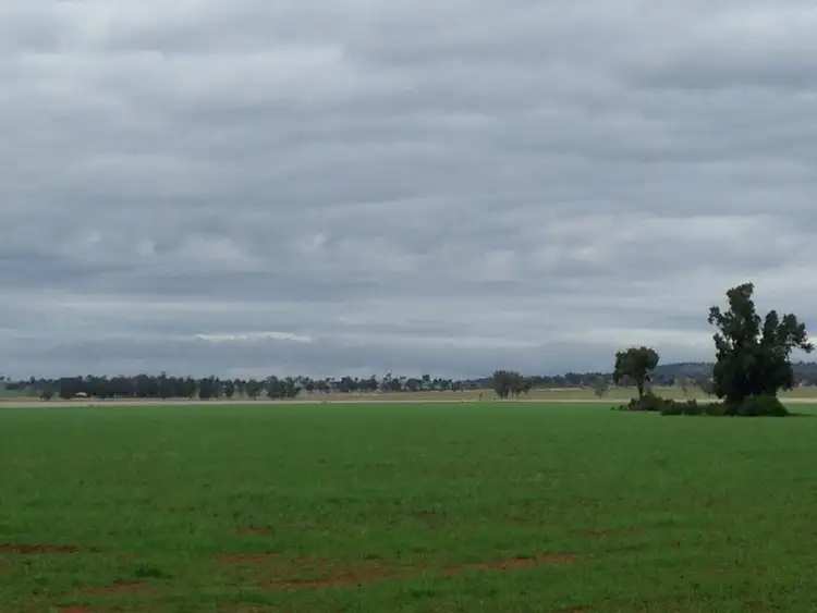 Third view of Homely rural property listing, 374 Ganantagi Rd, Ootha NSW 2875