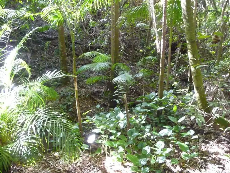 Fourth view of Homely land listing, 82 Grasstree Road, Eumundi QLD 4562