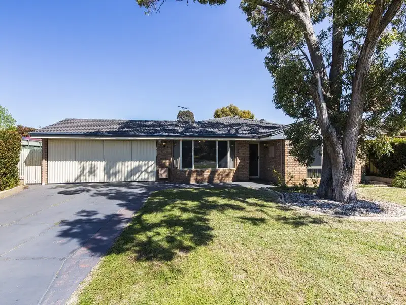 Main view of Homely house listing, 47 Kingfisher Loop, High Wycombe WA 6057