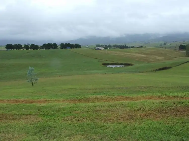 Third view of Homely house listing, 55 Loftus Street, Bemboka NSW 2550
