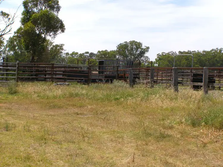 Fifth view of Homely rural property listing, 1314 Whitlow Road, Bingara NSW 2404