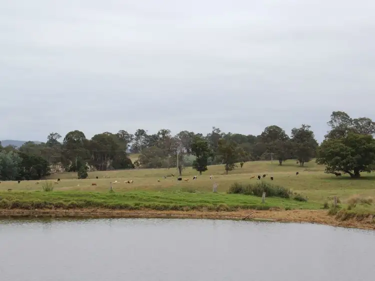 Third view of Homely land listing, 9914 Princes Highway, Cobargo NSW 2550