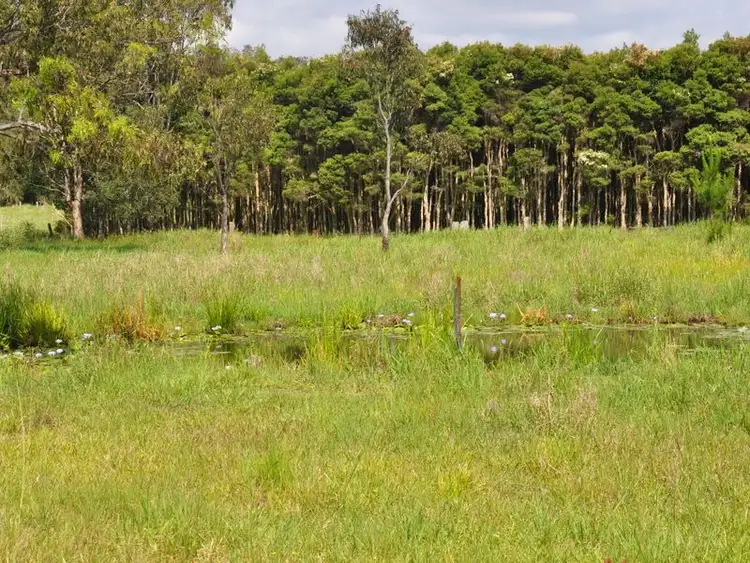 Second view of Homely rural property listing, 255 The Gap Road, Woodburn NSW 2472
