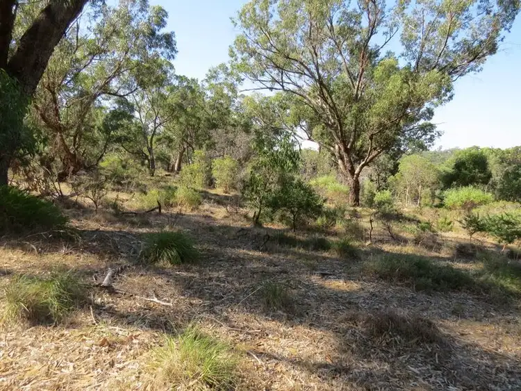Fifth view of Homely land listing, 38 Timber Grove, Two Rocks WA 6037