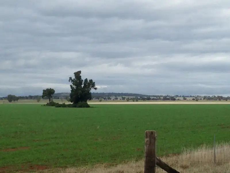 Main view of Homely rural property listing, 374 Ganantagi Rd, Ootha NSW 2875