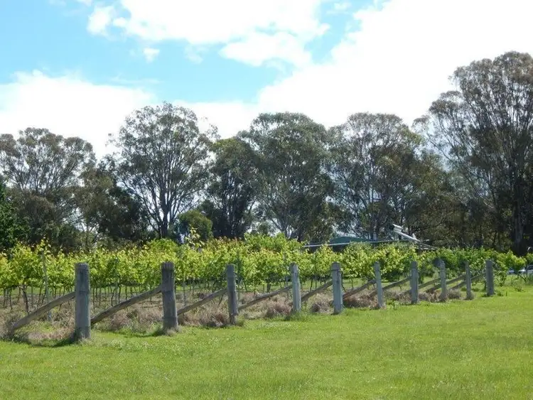 Fifth view of Homely rural property listing, 874 Cobargo Bermagui Road, Coolagolite NSW 2550