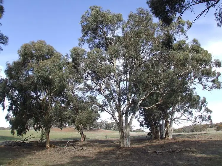 Fifth view of Homely land listing, Lot 28140 Ashworth Road, York WA 6302