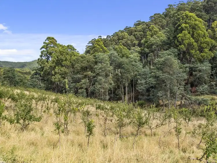 Third view of Homely land listing, Cripps Road, Woodbridge TAS 7162