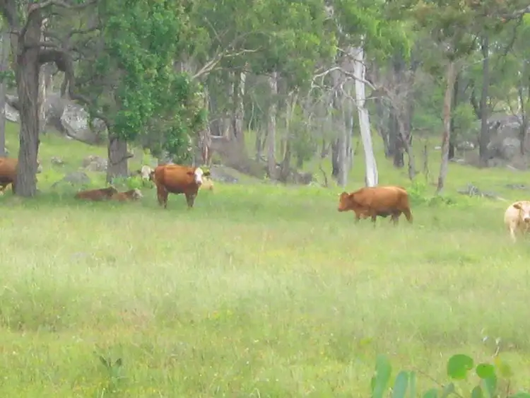 Fifth view of Homely rural property listing, 121 Maidenwell Upper Yarraman Road, Maidenwell QLD 4615