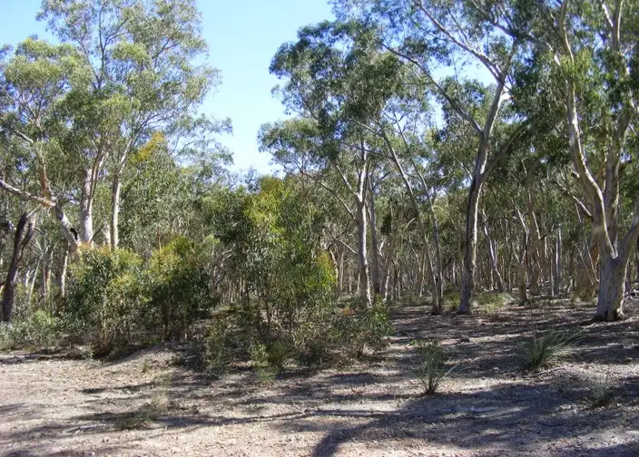 Fourth view of Homely rural property listing, 99 Carters Close, Greenwich Park NSW 2580