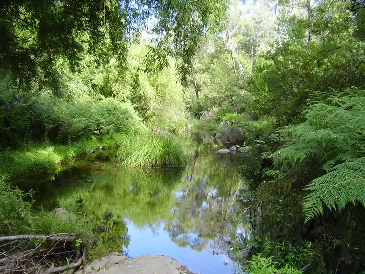 Second view of Homely rural property listing, 270 Moons Road, Bemboka NSW 2550