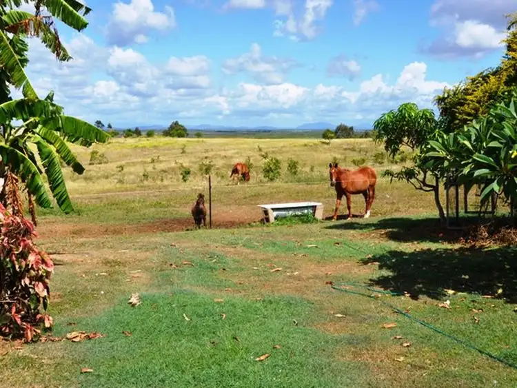 Third view of Homely house listing, 183 Bally Keel Road, Alligator Creek QLD 4740