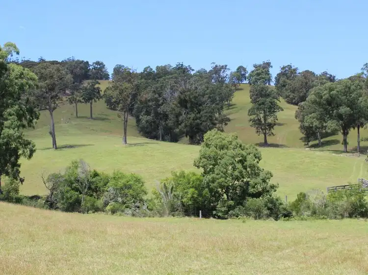 Main view of Homely land listing, Lots 248 2 Reedy Creek Road, Akolele NSW 2546
