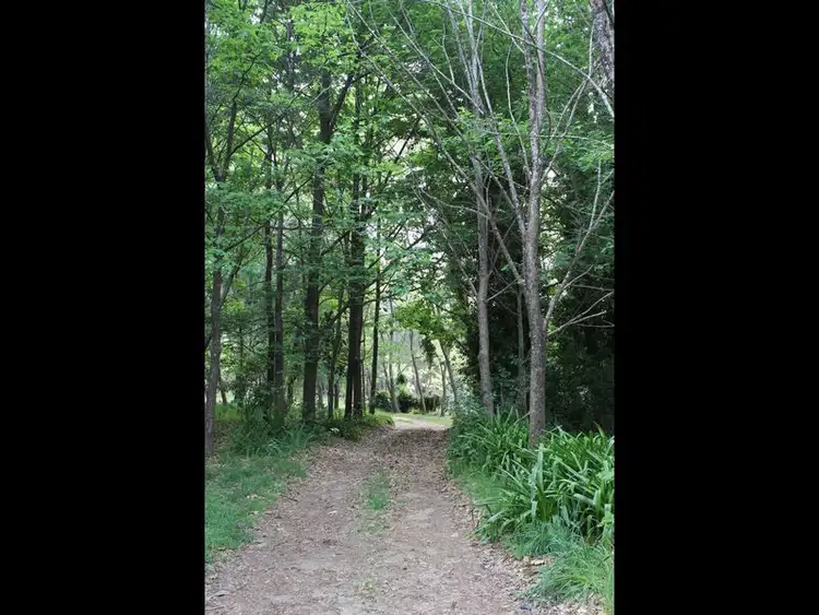 Sixth view of Homely rural property listing, 111 Spencers Road, Angledale NSW 2550