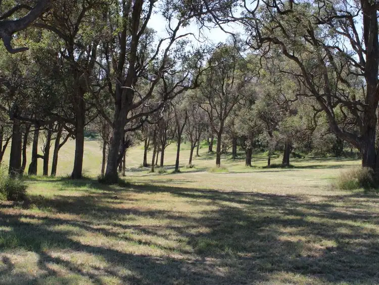 Second view of Homely land listing, Lot 1 Bega Candelo Road, Bega NSW 2550