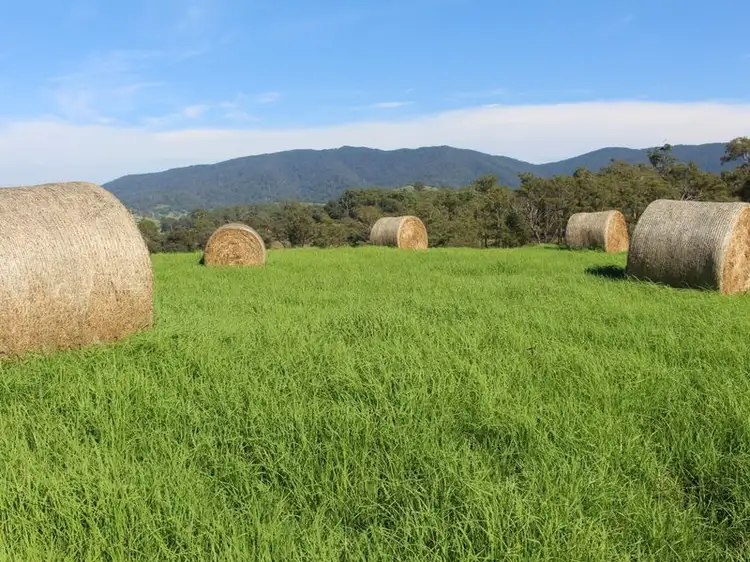 Main view of Homely land listing, 10970 Princes Highway, Cobargo NSW 2550