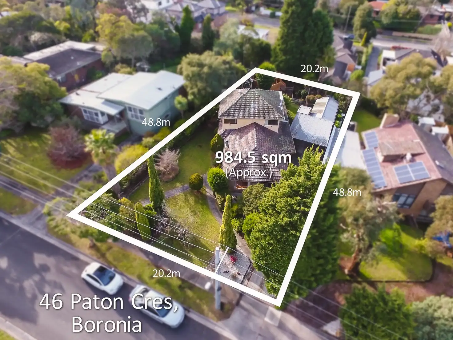 Main view of Homely house listing, 46 Paton Crescent, Boronia VIC 3155