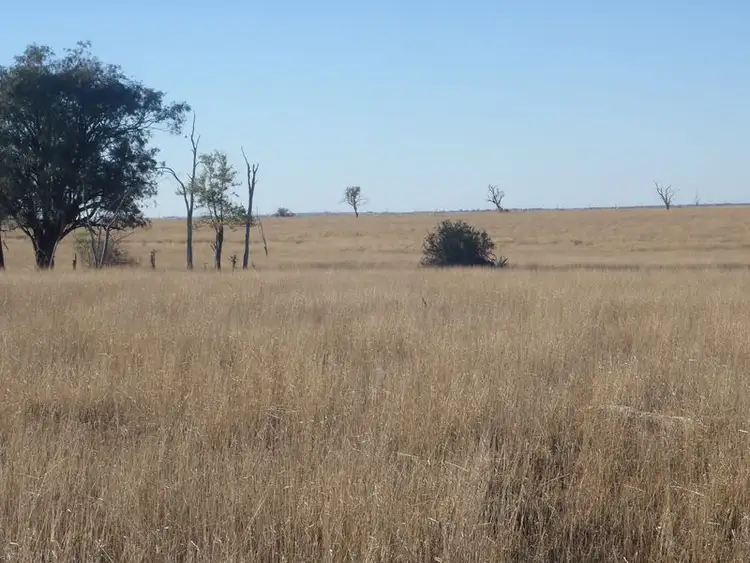 Sixth view of Homely rural property listing, MT Abundance Road, Roma QLD 4455