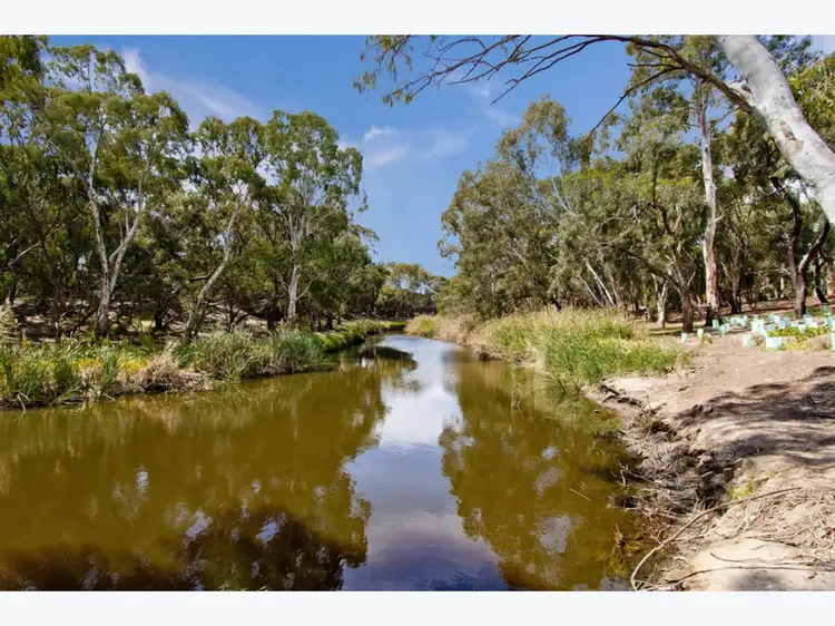 Second view of Homely house listing, 36A Douglas Street, Lockleys SA 5032