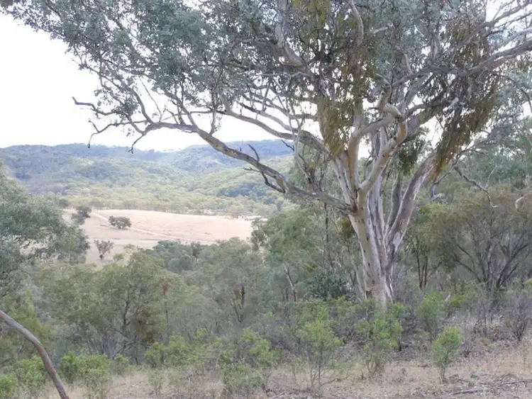 Seventh view of Homely rural property listing, Lot 18 Gulf  Road, Emmaville NSW 2371