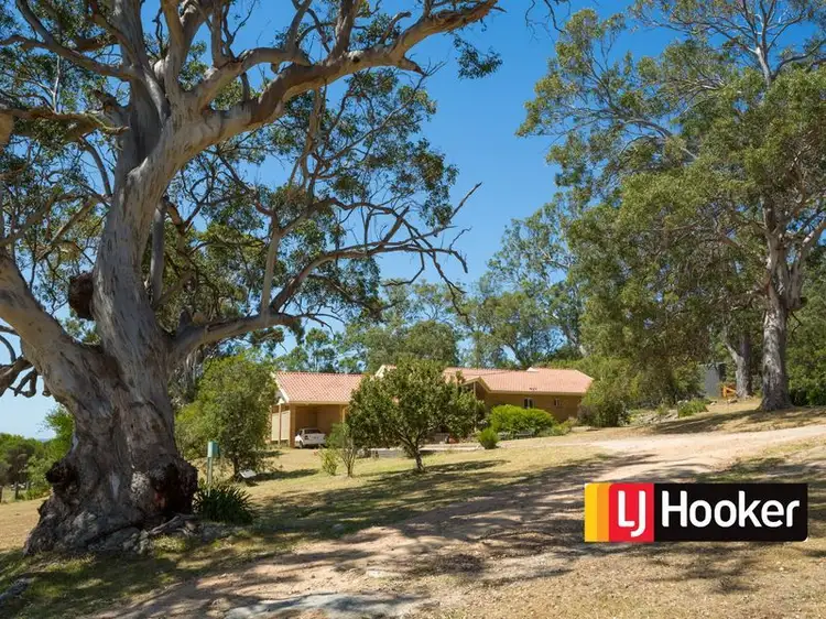 Main view of Homely rural property listing, 43 Black Range Road, Bega NSW 2550