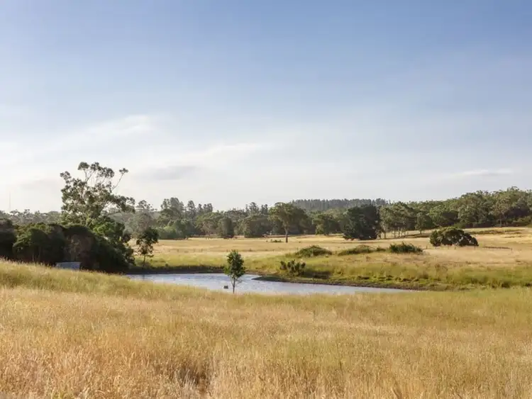 Fifth view of Homely house listing, 315 Merricks Road, Longford VIC 3851