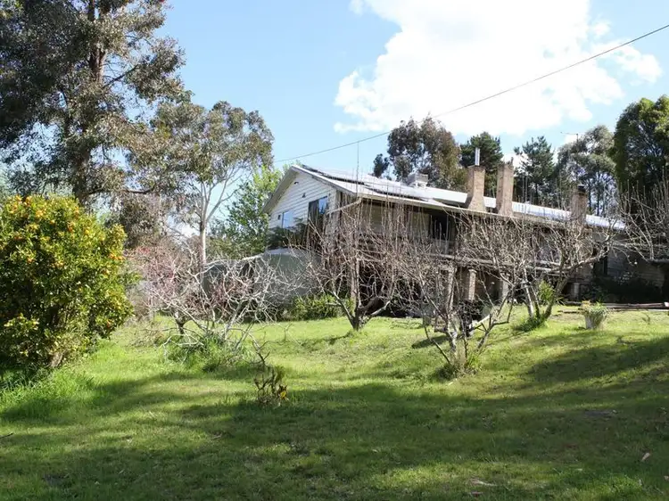 Seventh view of Homely rural property listing, 11265 Princes Highway, Cobargo NSW 2550
