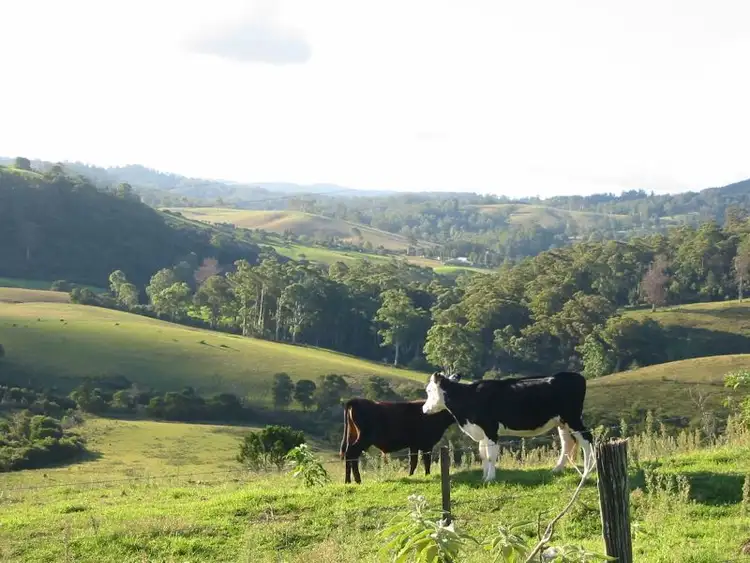 Fifth view of Homely rural property listing, 130 Hudsons Road, Megan NSW 2453