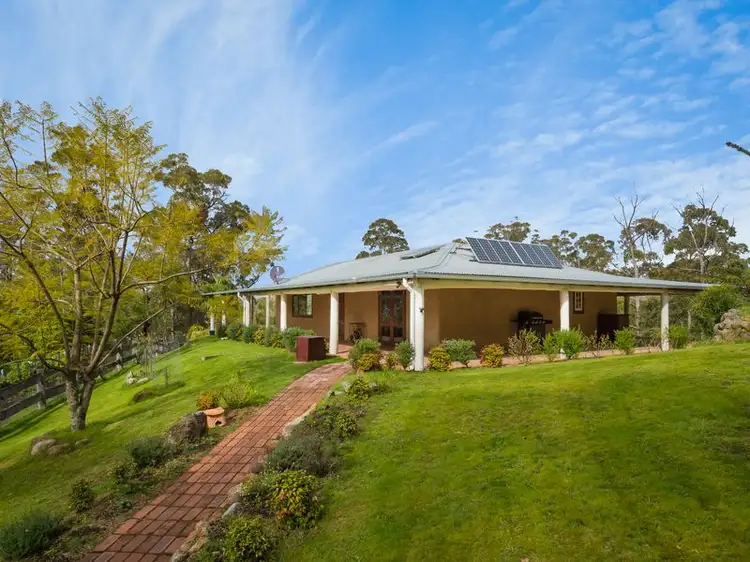 766 Yankees Gap Road, Bemboka NSW 2550