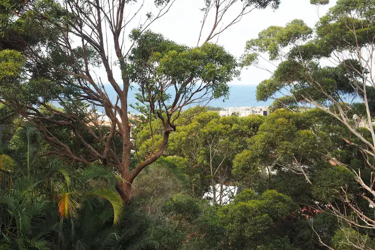 Fifth view of Homely land listing, 33 Kurrawyba Avenue, Terrigal NSW 2260