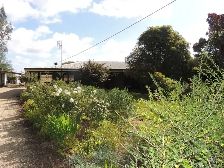 Main view of Homely house listing, 134 McLean Lane, Vinifera VIC 3591
