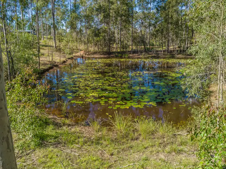 Fifth view of Homely house listing, 53 Scott Thomas Drive, Sexton QLD 4570