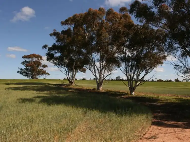 Second view of Homely rural property listing, Section 42 Youngs Road, Port Broughton SA 5522