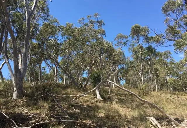 Fourth view of Homely land listing, 8 Railway Parade, Tallong NSW 2579