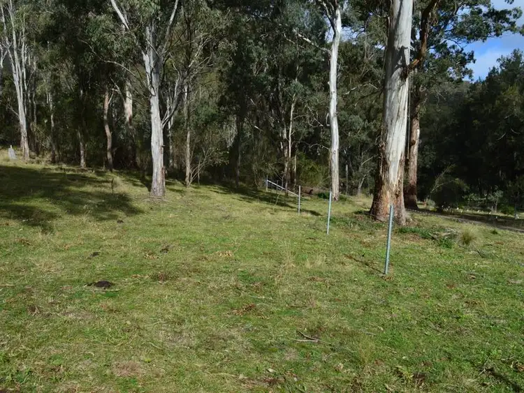 Fourth view of Homely rural property listing, Lot 165 Condamine River Road, Killarney QLD 4373