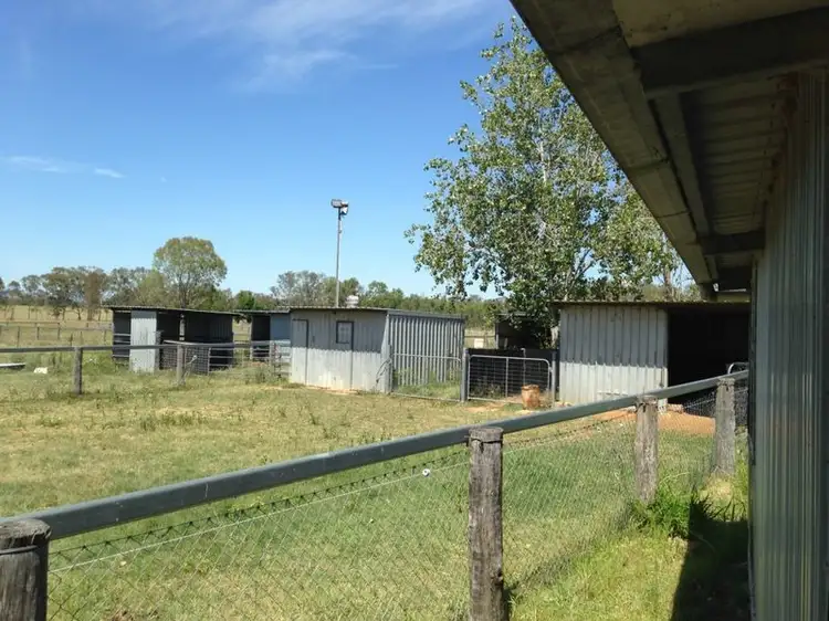 Sixth view of Homely rural property listing, 62 Ringwood Road, Ringwood QLD 4343