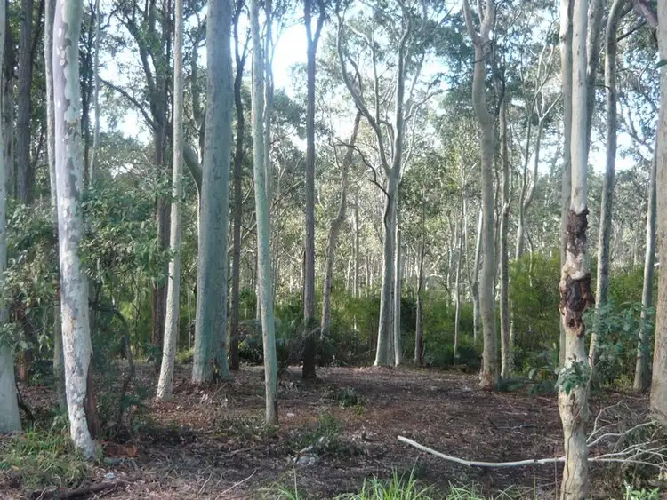 Fourth view of Homely land listing, 2A Willis Boulevard, Narooma NSW 2546