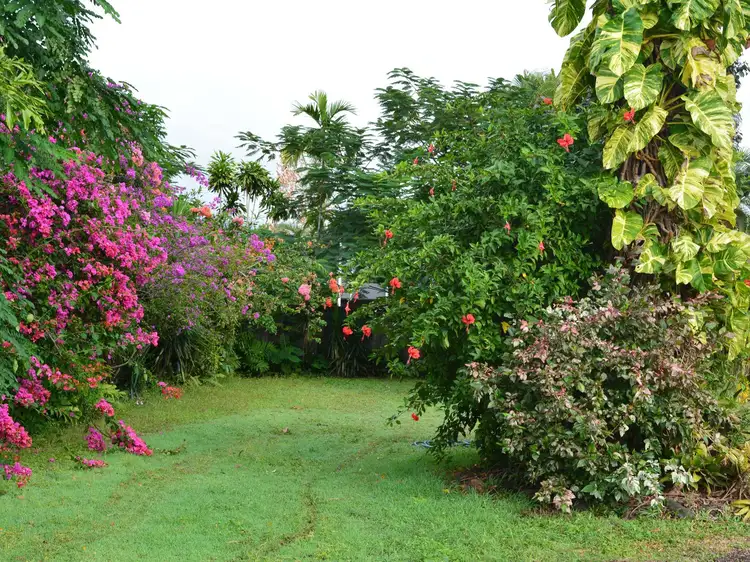 41 Morgan Street, Yorkeys Knob QLD 4878