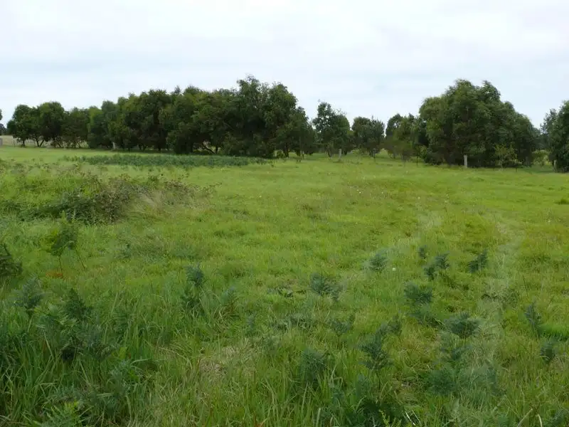 Main view of Homely land listing, 200 Birrells Road, Newlands Arm VIC 3875