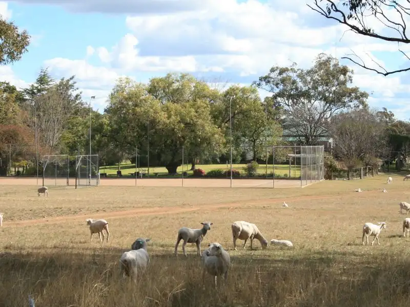 Main view of Homely rural property listing, 732 Springdale Raod, Stanthorpe QLD 4380