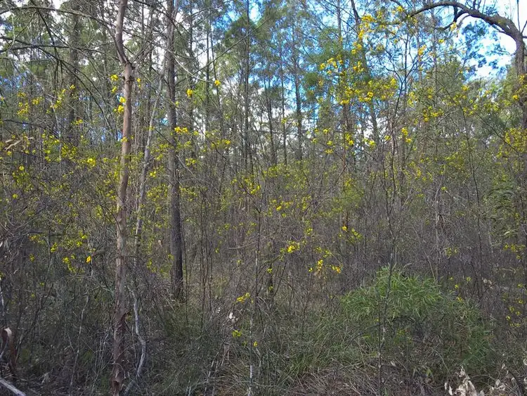 Seventh view of Homely land listing, Lot 3 Melrose Estate, Warialda NSW 2402
