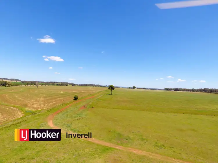 Sixth view of Homely rural property listing, 805 Mount Russell Road, Inverell NSW 2360